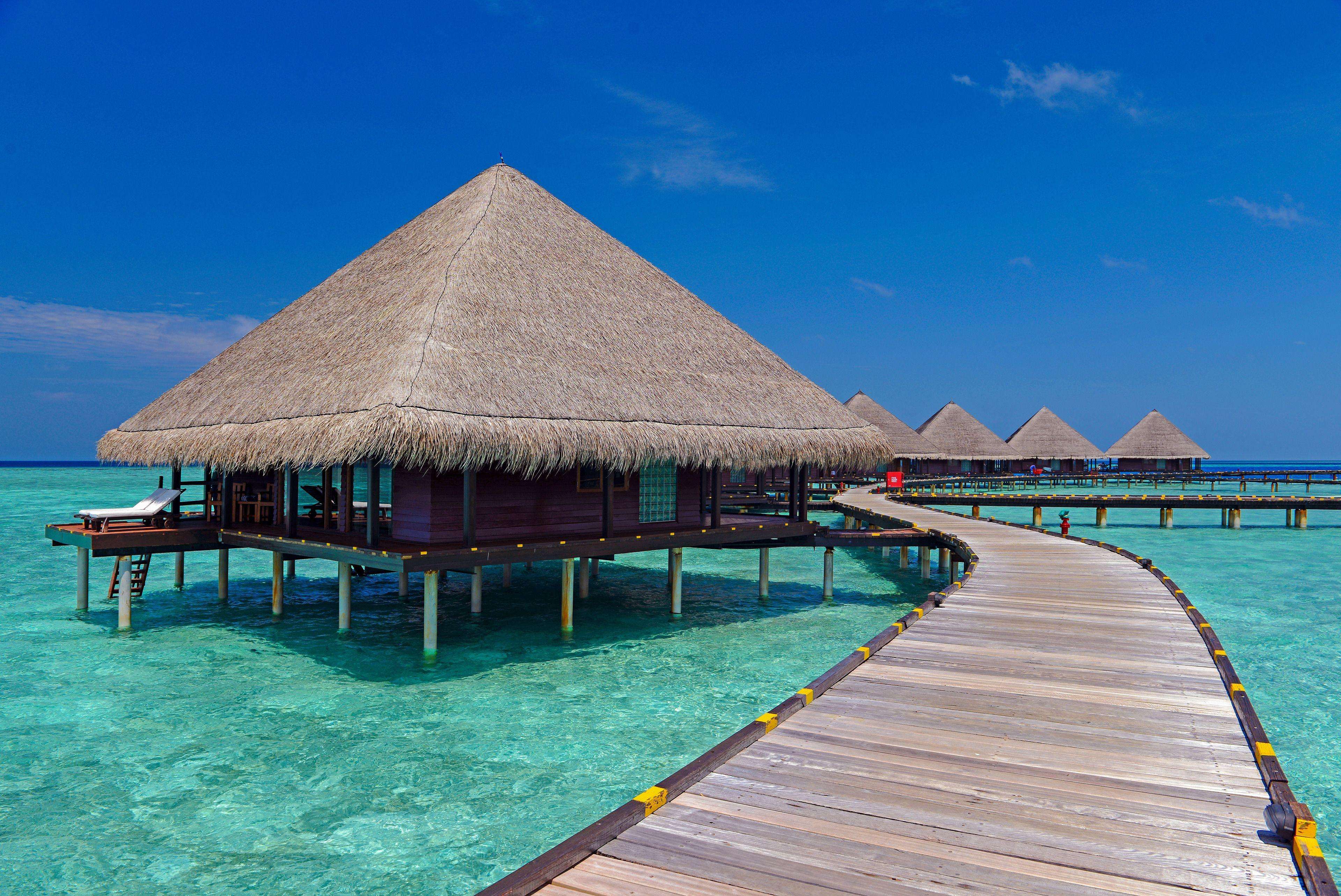 Picture of the resort