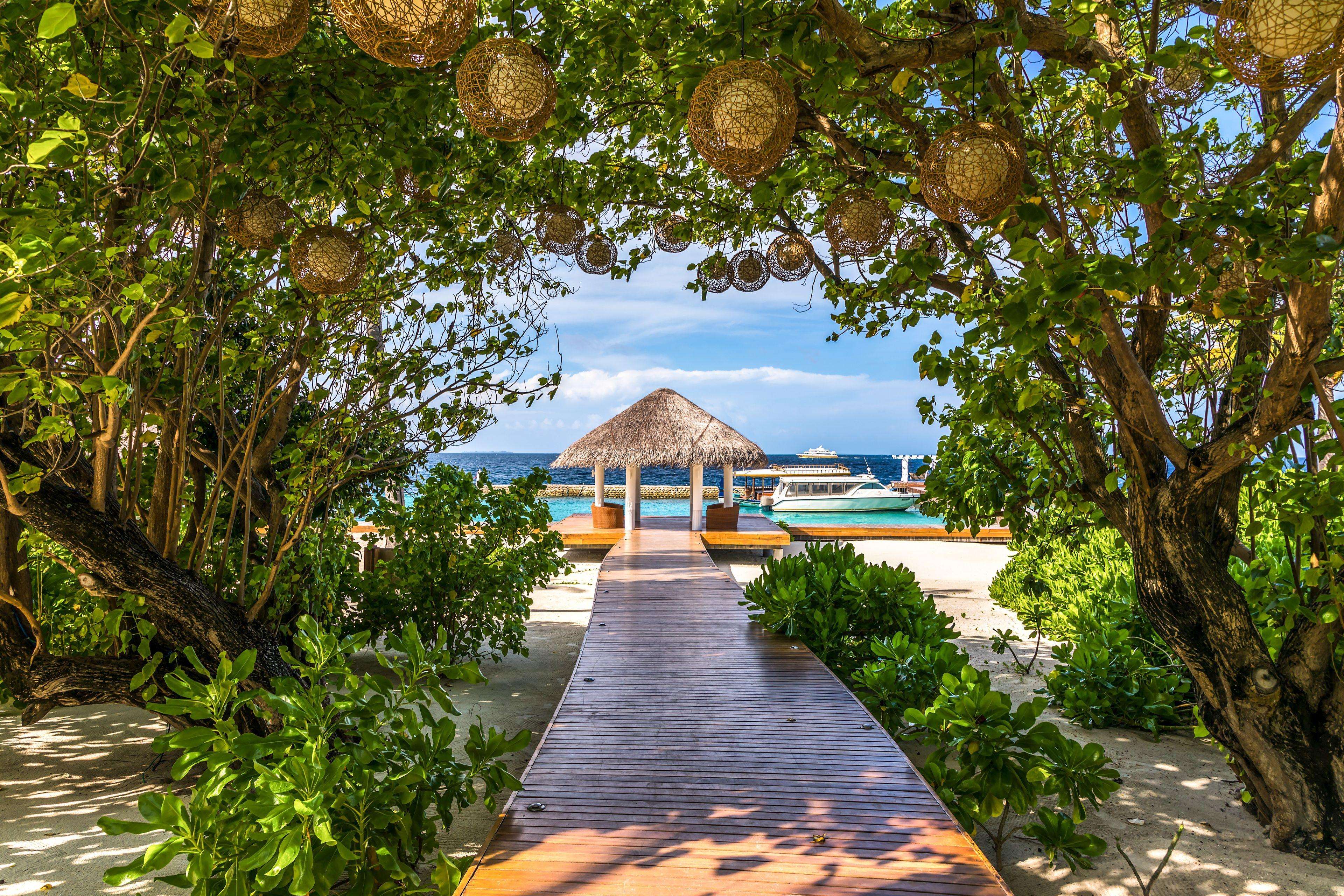 Picture of the resort