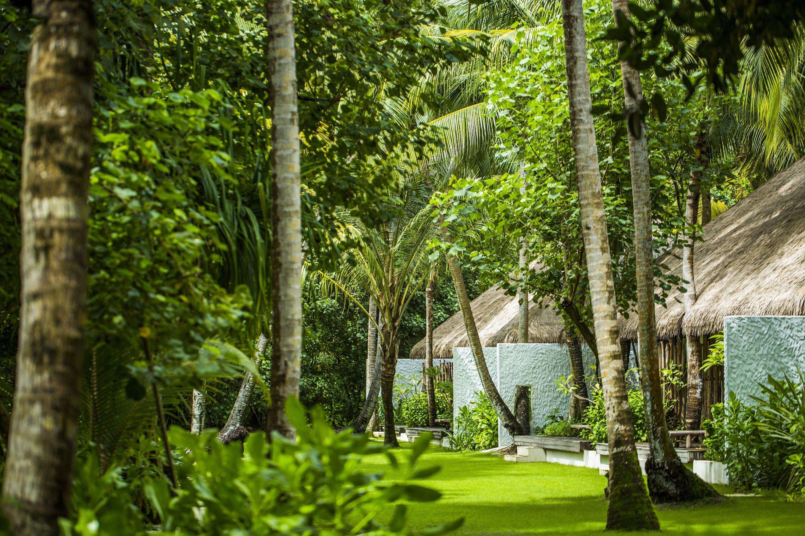 Picture of the resort