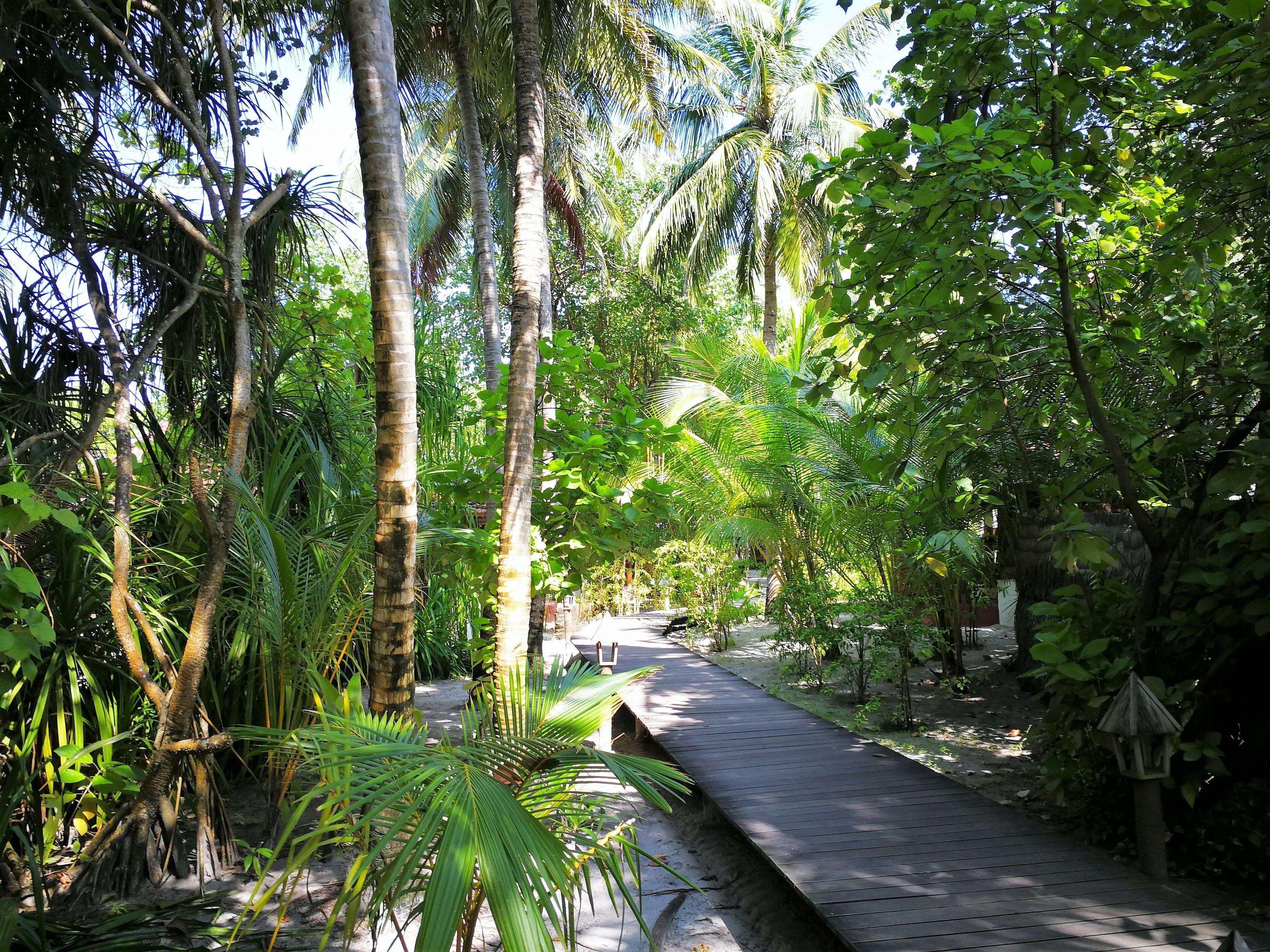 Picture of the resort