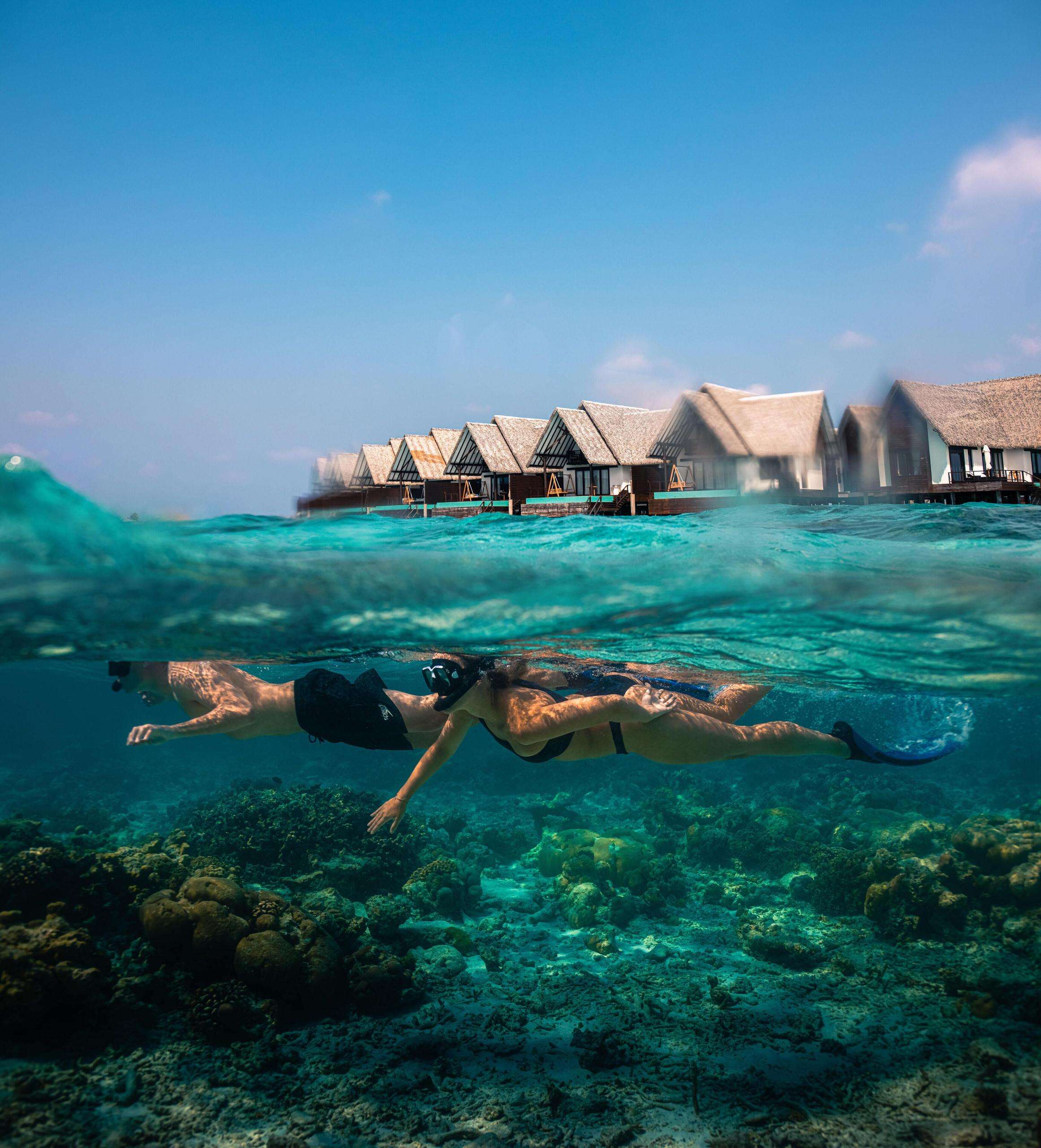 Picture of the resort