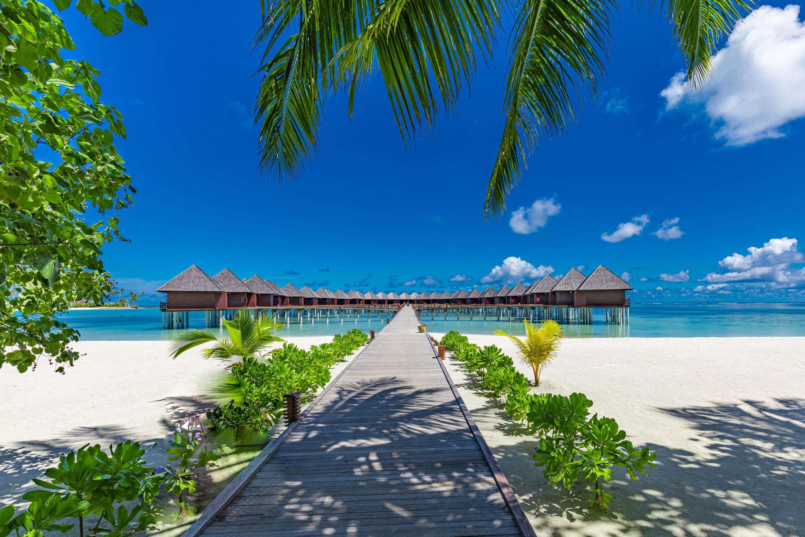 Picture of the resort