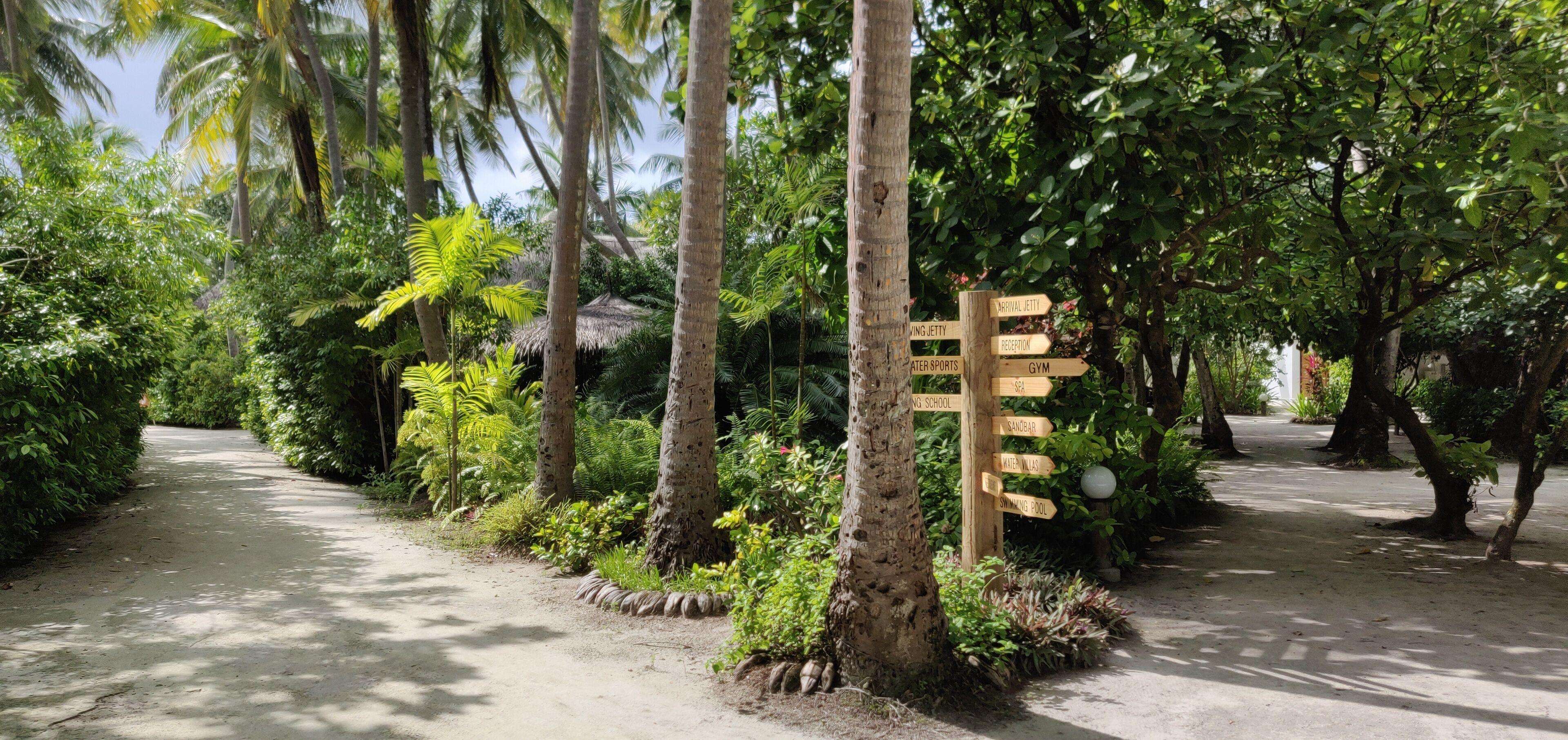 Picture of the resort