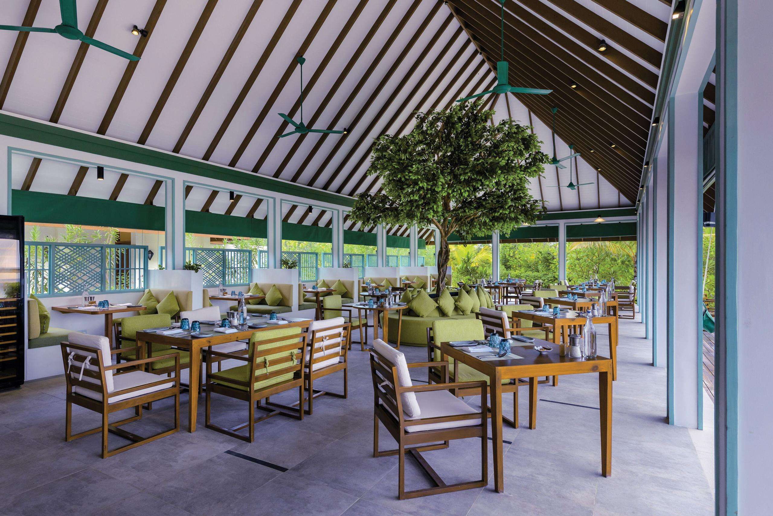 Picture of the resort