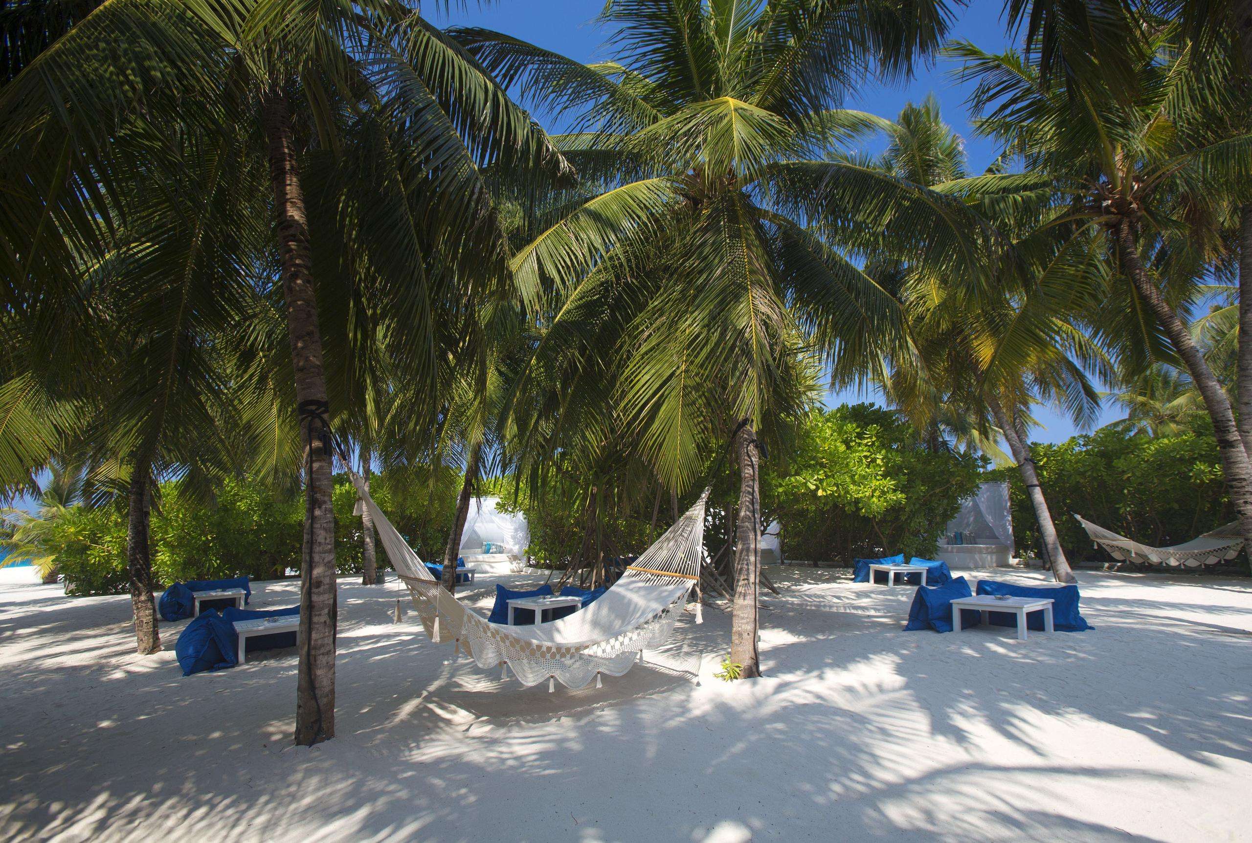 Picture of the resort