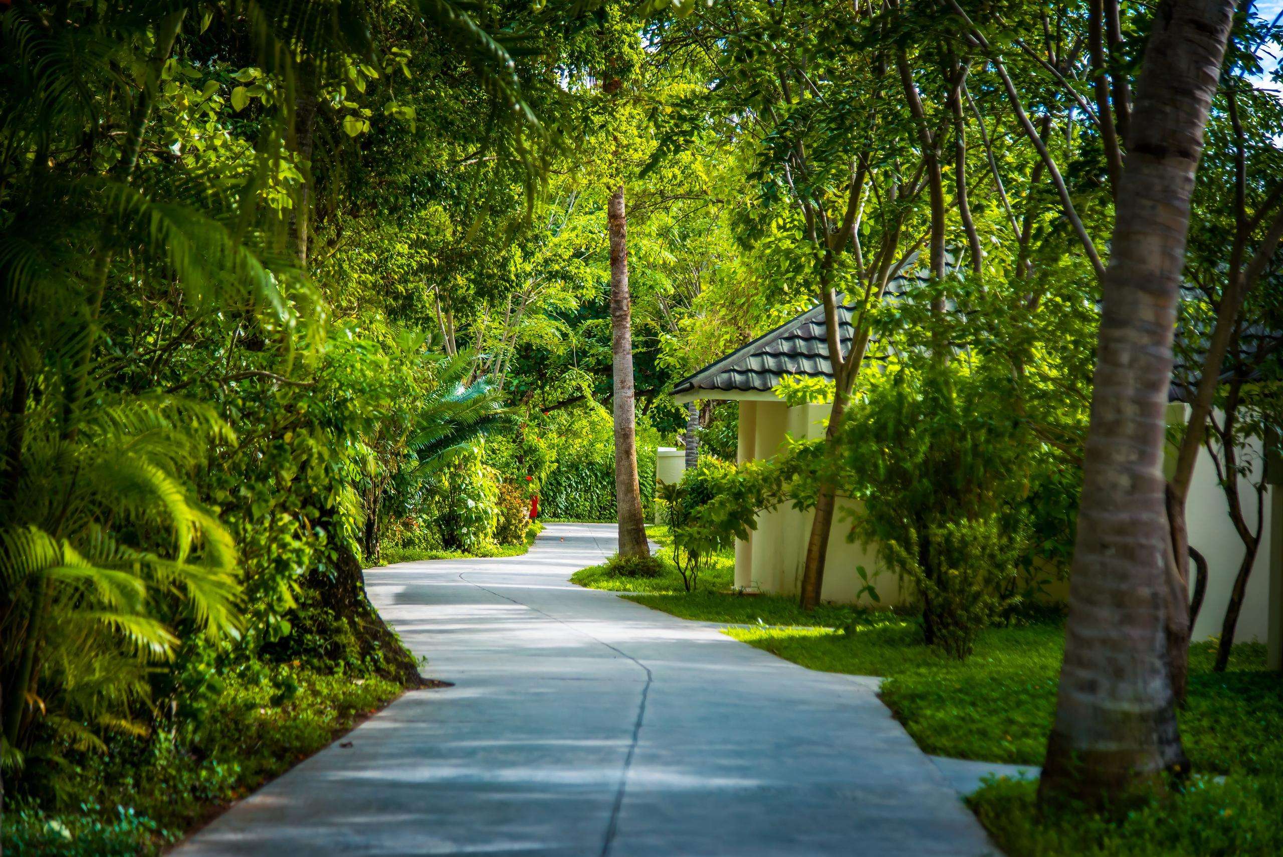 Picture of the resort